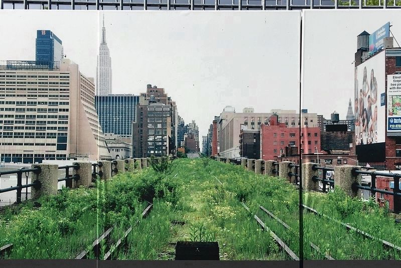 Abandoned High Line image. Click for full size.