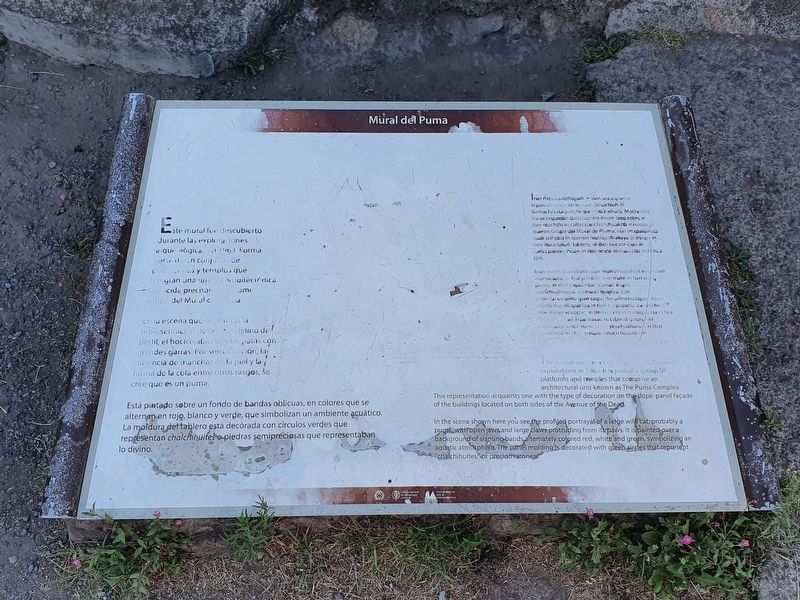 The Puma Mural Marker image. Click for full size.