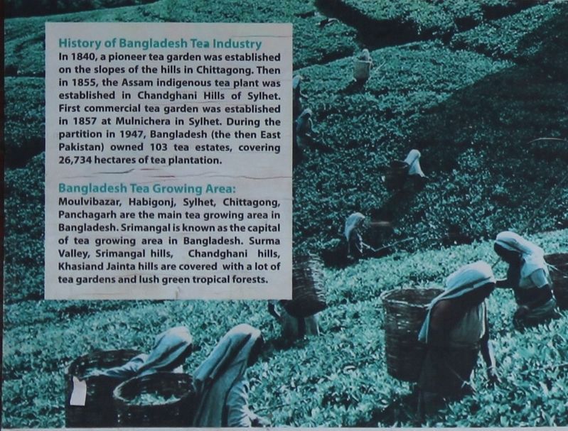 History of Bangladesh Tea Industry Marker image. Click for full size.