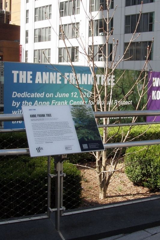 Anne Frank Tree image. Click for full size.