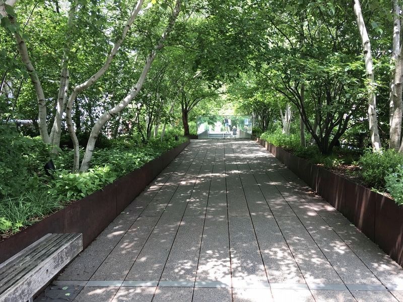 High Line park. Click for full size. High Line park image. Click for full size.