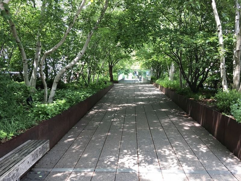 High Line image. Click for full size.