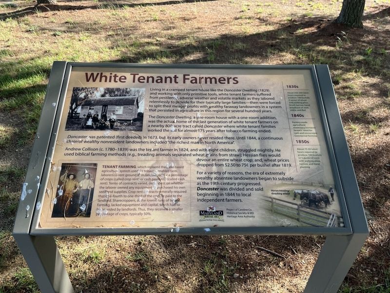 White Tenant Farmers Marker image. Click for full size.