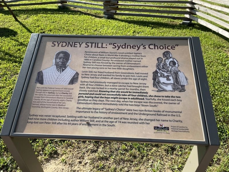 Sydney Still: "Sydney's Choice" Marker image. Click for full size.