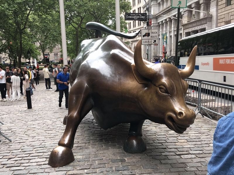 Charging Bull image. Click for full size.