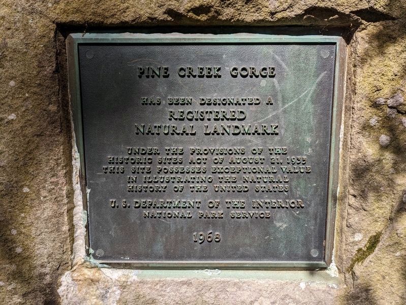 Pine Creek Gorge Marker image. Click for full size.