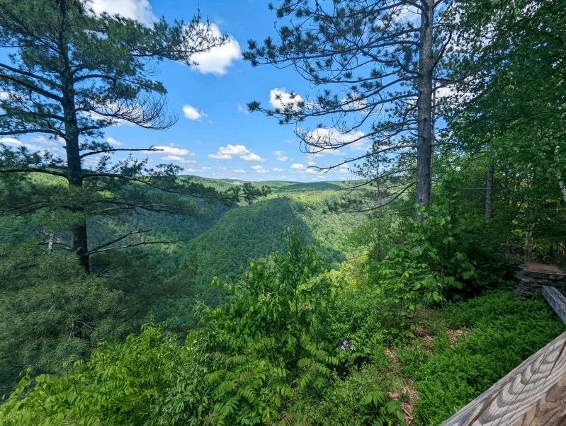 Pine Creek Gorge image. Click for full size.