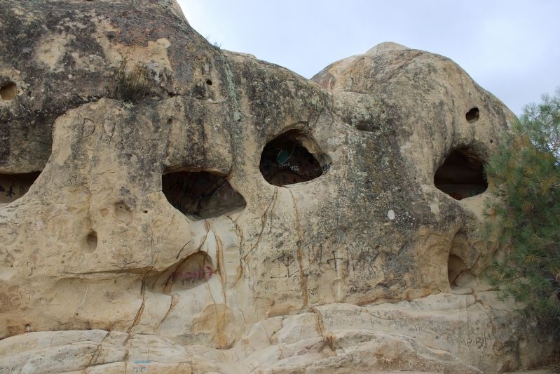 Sandstone Caves image. Click for full size.