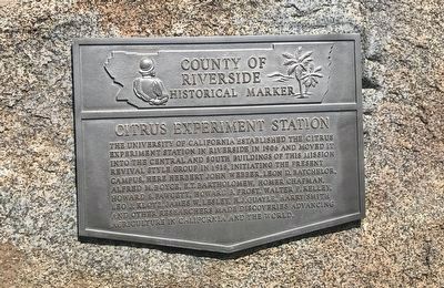 Citrus Experiment Station Marker. Click for full size. Citrus Experiment Station Marker image. Click for full size.