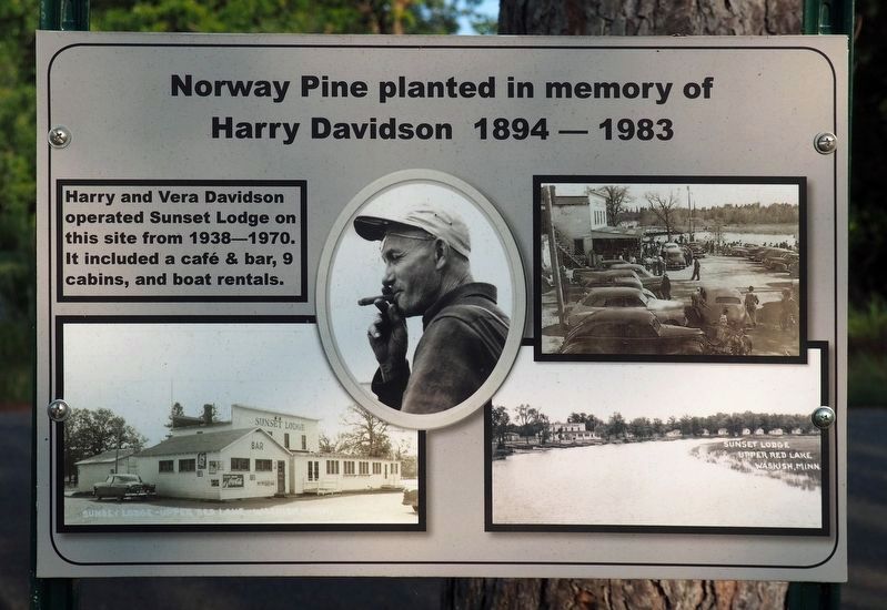 Harry Davidson Marker. Click for full size. Harry Davidson Marker image. Click for full size.