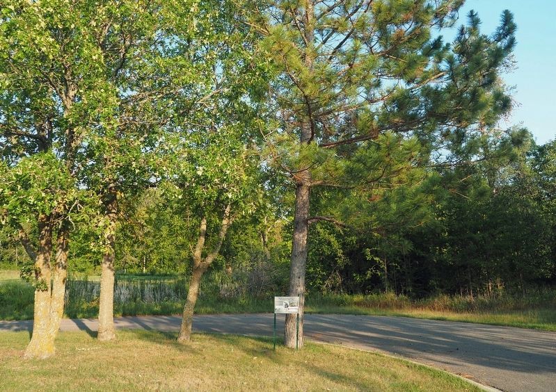 Harry Davidson Marker near the boat ramp turnaround in Waskish Homestead Park image. Click for full size.