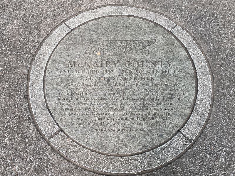 McNairy County Marker image. Click for full size.