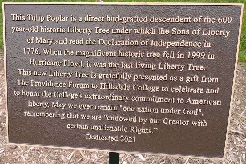 Liberty Tree Descendent Marker image. Click for full size.