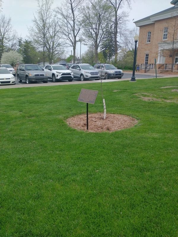Liberty Tree Descendent Marker. Click for full size. Liberty Tree Descendent Marker image. Click for full size.