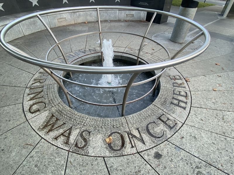 McNairy Spring Marker. Click for full size. McNairy Spring Marker image. Click for full size.