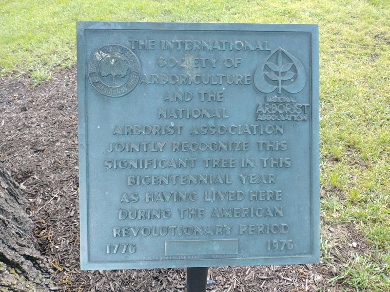 American Revolutionay War Tree Marker image. Click for full size.