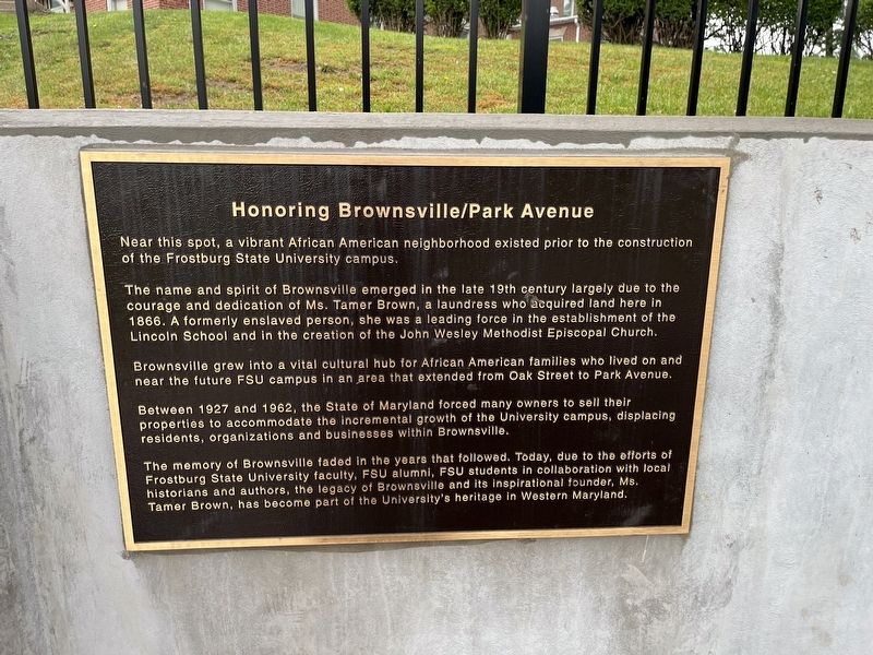 Honoring Brownsville / Park Avenue Marker image. Click for full size.