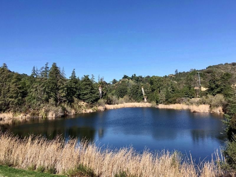 Upper Franklin Canyon Reservoir. Click for full size. Upper Franklin Canyon Reservoir image. Click for full size.