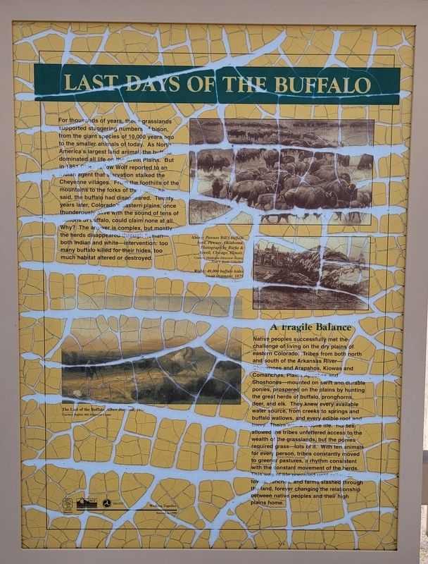 Last Days of the Buffalo Marker. Click for full size. Last Days of the Buffalo Marker image. Click for full size.