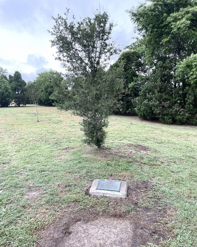 Tree of Hope Marker image. Click for full size.