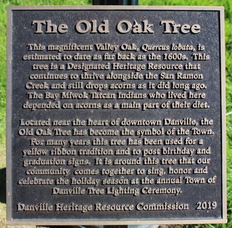 The Old Oak Tree Marker image. Click for full size.
