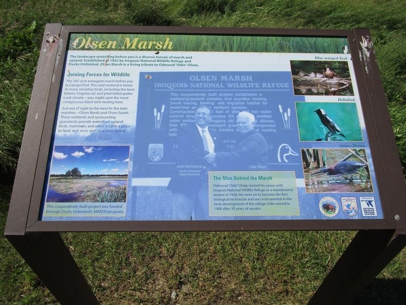 Olsen Marsh Marker. Click for full size. Olsen Marsh Marker image. Click for full size.