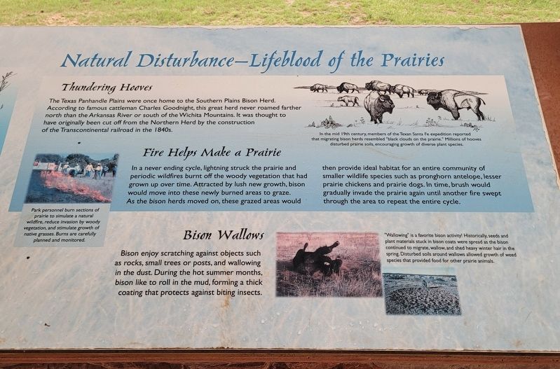 Natural Disturbance-Lifeblood of the Prairies Marker image. Click for full size.