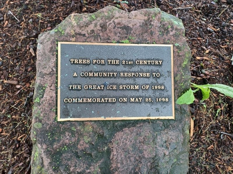 Trees for the 21st Century Marker. Click for full size. Trees for the 21st Century Marker image. Click for full size.