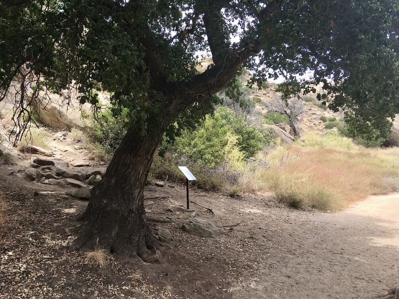 Trail Blazers Cave Marker. Click for full size. Trail Blazers Cave Marker image. Click for full size.