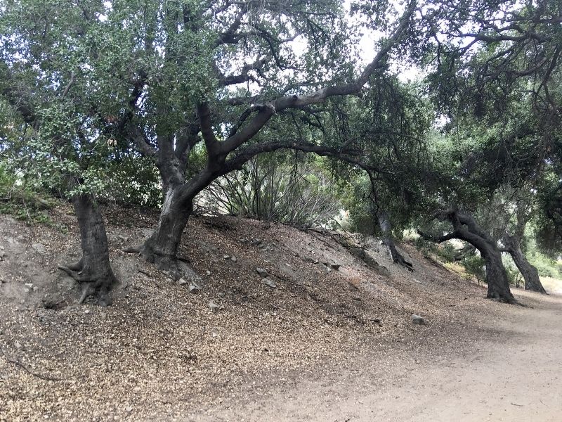 Railroad Tunnel Mound image. Click for full size.