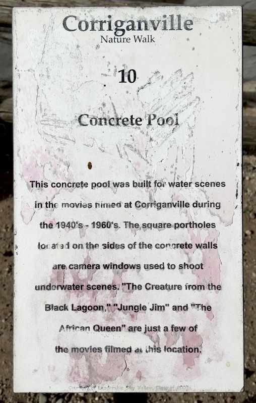 Concrete Pool Marker image. Click for full size.