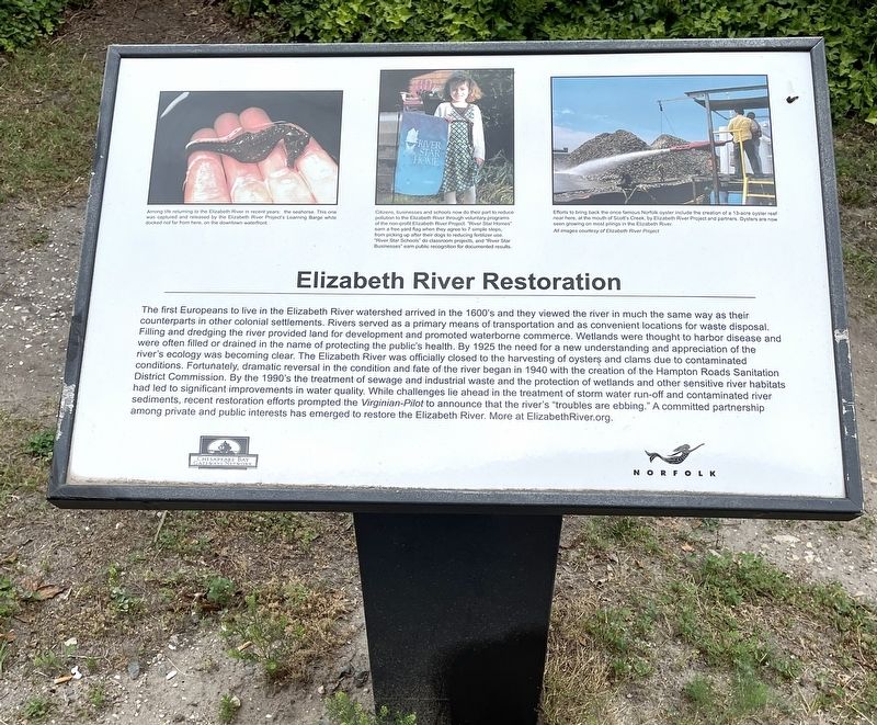 Elizabeth River Restoration Marker image. Click for full size.