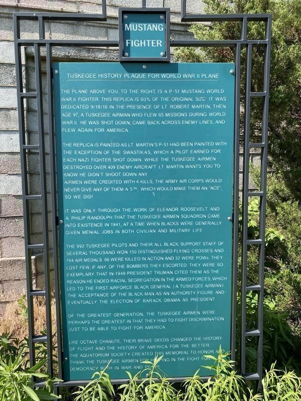 Tuskegee History Plaque for World War II Plane image. Click for full size.
