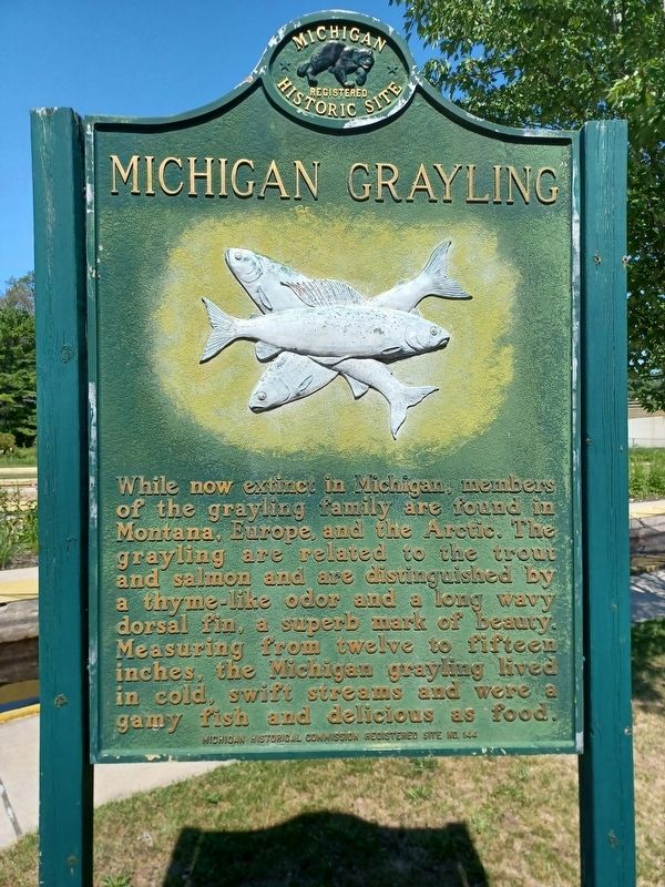 Michigan Grayling Marker, Side One image. Click for full size.