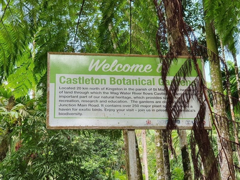 Another nearby Welcome to Castleton Botanic Gardens Informational Sign image. Click for full size.