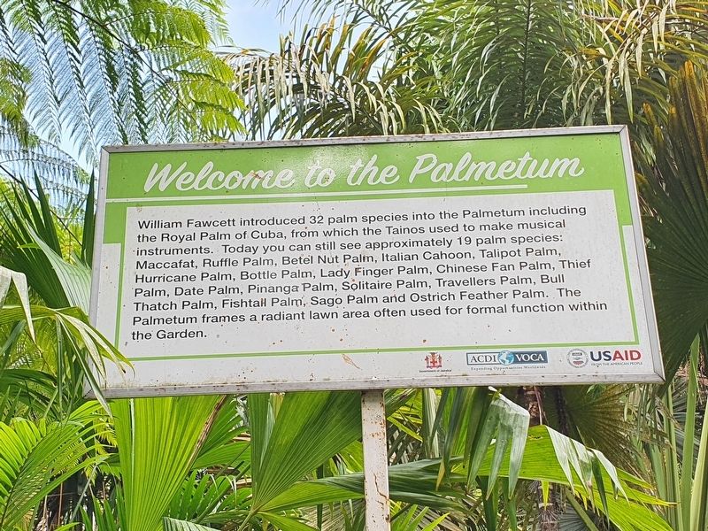 Welcome to the Palmetum Marker image. Click for full size.