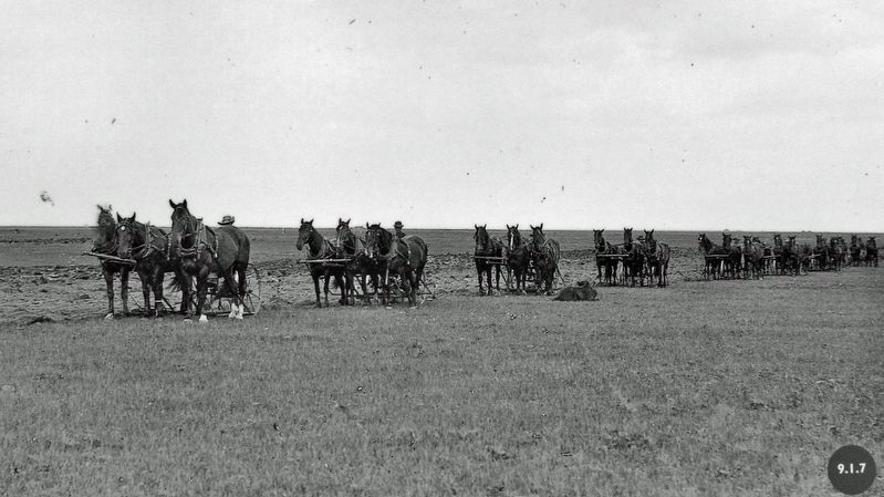 Marker detail: Teams of three-horse sulky ploughs working the farm fields in 1884.. Click for full size. Marker detail: Teams of three-horse sulky ploughs working the farm fields in 1884. image. Click for full size.