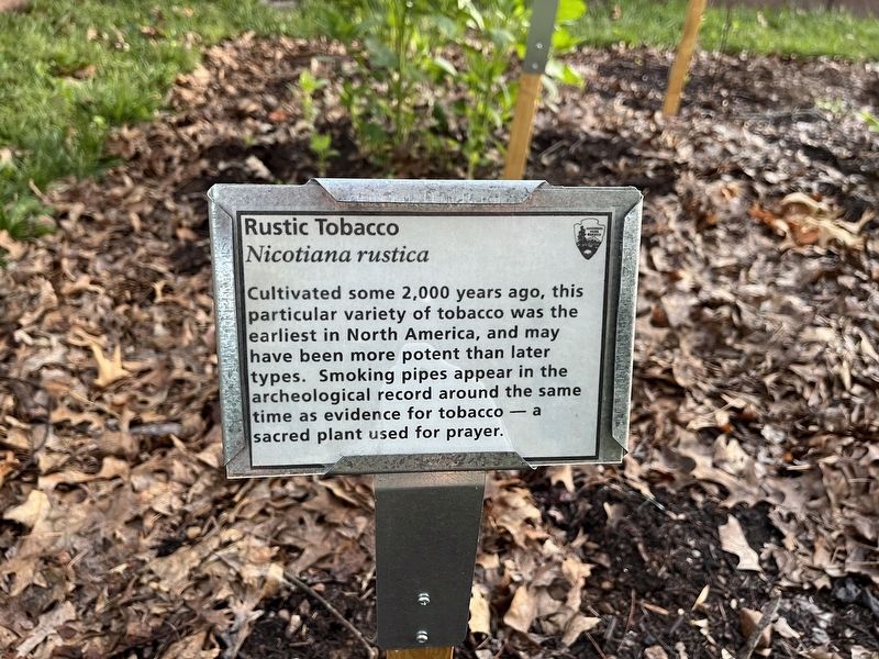 Rustic Tobacco Marker image. Click for full size.