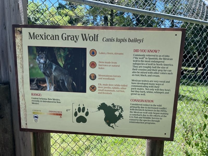Mexican Gray Wolf Marker. Click for full size. Mexican Gray Wolf Marker image. Click for full size.