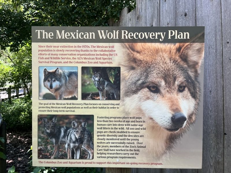 The Mexican Wolf Recovery Plan Marker image. Click for full size.