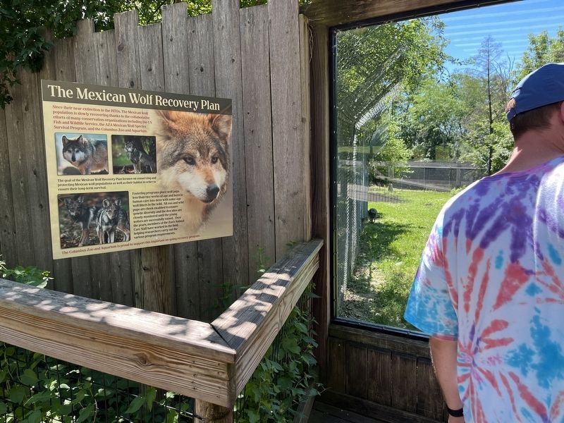 The Mexican Wolf Recovery Plan Marker. Click for full size. The Mexican Wolf Recovery Plan Marker image. Click for full size.