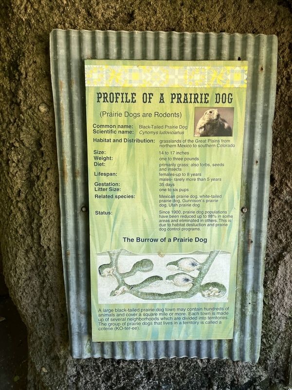 Profile of a Prairie Dog Marker. Click for full size. Profile of a Prairie Dog Marker image. Click for full size.