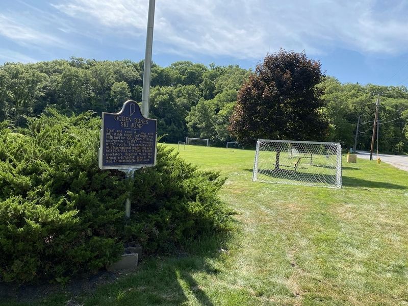 Marker with Kratz Field and Dune in Background image. Click for full size.