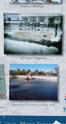 River Raisin Legacy Project Marker - bottom two middle images image. Click for full size.