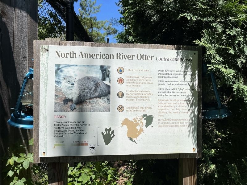 North American River Otter Marker image. Click for full size.