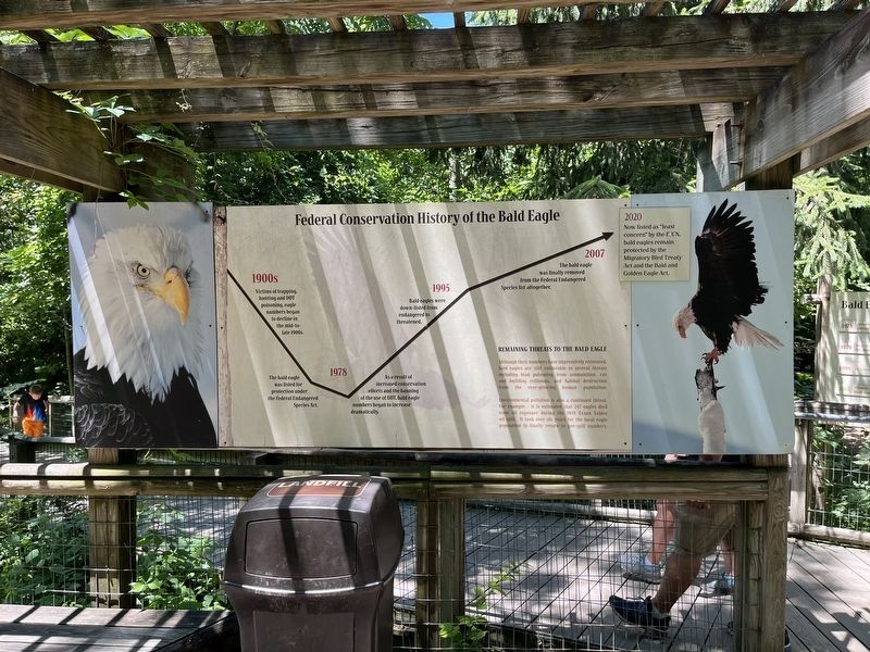 Federal Conservation History of the Bald Eagle Marker image. Click for full size.