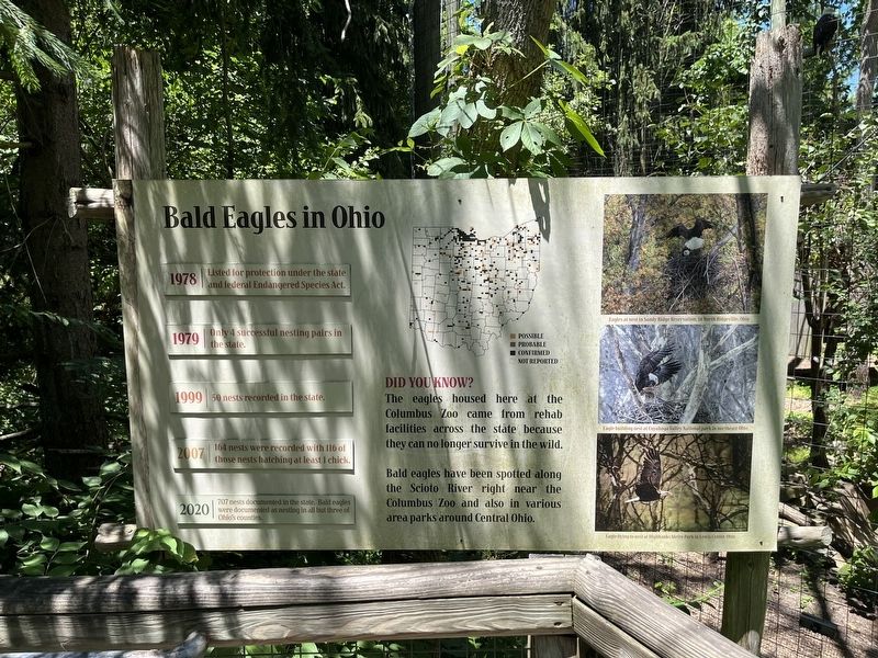 Bald Eagles in Ohio Marker. Click for full size. Bald Eagles in Ohio Marker image. Click for full size.