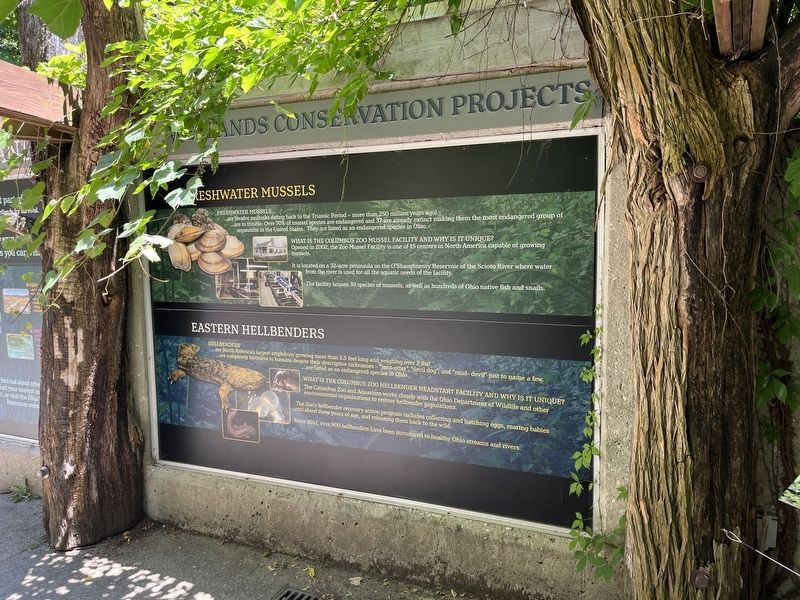 Wetlands Conservation Projects Marker image. Click for full size.