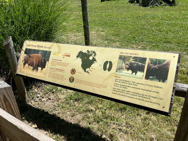 American Bison Marker. Click for full size. American Bison Marker image. Click for full size.