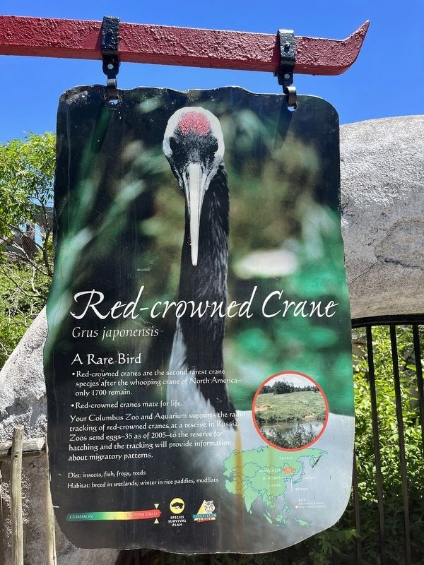 Red-crowned Crane Marker image. Click for full size.
